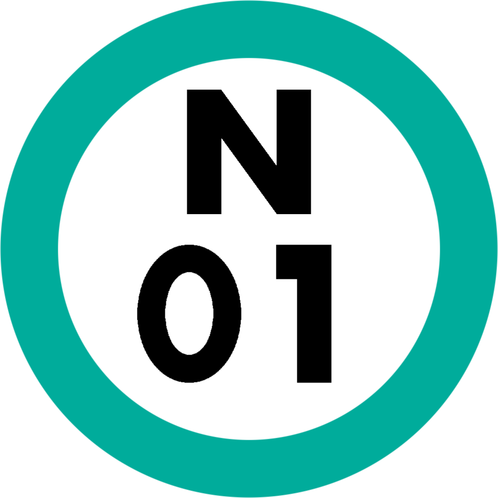 N-01